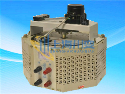 单相电动调压器5KVA